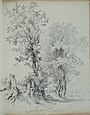 drawing of a tree